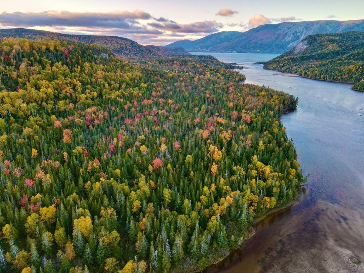 Bonne Bay Cottages Bonne Bay Pond Exteriér fotografie